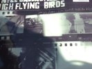 RSD 2012 Noel Gallagher's High Flying Birds 12