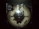 KATE BUSH LAKE TAHOE AMONG ANGLES RARE 10