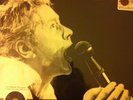 PIL Public Image Limited - Live at Rockpalast 1983  LIMITED RSD 3XLP SEX PISTOLS