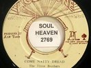 Reggae 45 Roots THE THREE BROTHERS Come Natty Dread ACE TONE Records