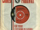 NORTHERN SOUL-DORIS TROY-I`LL DO ANYTHING-UK-CAMEO-PARKWAY-C.101.