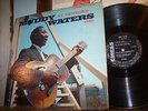 Muddy Waters  