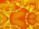 V.A. ACID DREAMS 3xLP US 60s GARAGE PSYCH comp. RARE