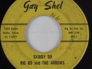 Funk R&B 45 BIG BO & THE ARROWS Skibby Do GAY SHEL HEAR