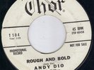 HOT THOR ROCKABILLY / INSTRUMENTAL - ANDY DIO - ROUGH & BOLD / SATTELITE  HEAR