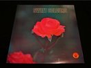 CREA SOUND Library  SWEET COLOURS  Janko Nilovic  MINT