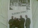 sudden impact storm lp skinhead rac oi isd ror