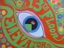 13TH FLOOR ELEVATORS Psychedelic Sounds LP International Artists 1966 MONO