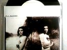 PJ Harvey 7