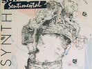 SORDIDE SENTIMENTAL-Billy Synth-Hartzdale Drive Destruction -RARE 7