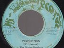 THE DIVINE BROTHERS - PERCEPTION - ROCK RECORDS 7