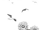 Seagulls and Sunflowers by Naomi Lewis