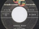 The Dyna-Sores Jungle Walk  TITTYSHAKER SLEAZY GRIND INSTRO 45 HEAR