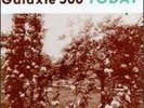 GALAXIE 500  TODAY  LP