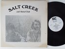 SALT CREEK Just About Due MT LP NM private folk rock