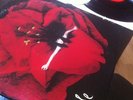 Smashing Pumpkins Adore Vinyl LP 2 Disc