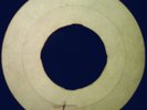 RICO - JUNGLE FEVER - RARE TEST PRESS