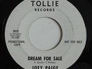 JOEY PAIGE Dream For Sale TOLLIE Teen Rock WL Promo 45 Phil Spector HEAR MP3