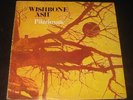 Wishbone Ash rare '71 U.K 1st press LP Pilgrimage on MCA  HARD ROCK