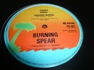Michael Prophet Love & Unity Killer Rare Roots 12