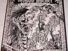 DEVIATED INSTINCT Rock N' Roll Conformity LP on Peaceville Lyric inner EX+