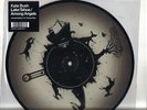 Kate Bush - Lake Tahoe ( RSD 10