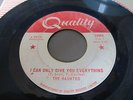 THE HAUNTED I CAN ONLY GIVE YOU EVERYTHING QUALITY CANADIAN GARAGE 45 MONTREAL