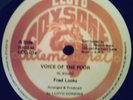 FRED LOCKS / LEVI ROOTS - VOICE OF THE POOR - RUFF & TUFF ROOTS 12