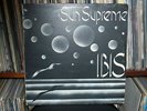 IBIS - SUN SUPREME - LP - ITALIAN PROG - ORIGINALE