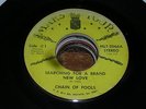 Chain of Fools DEEP SOUL 45 Searching for a Brand New Love / It Takes Two