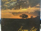 MIKE SCOTT - ARIZONA LIGHT * PRIVATE ROCK SOUL LP RARE