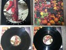 Kate Bush “The Red Shoes” 12-inch LP