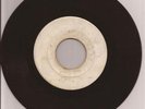 GAYLADS - FUNNY FEELING + UNKNOWN VERSION - BLANK - 7''  Dyna H S 00105 -00106