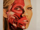 Art Cover 12