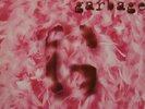 Garbage Debut Album 7