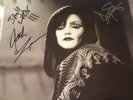 Dead Weather (The) Die By The Drop 45 rpm 7