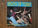 Youth Of Today - Break Down The Walls We Bite Test Press BDTW Revelation