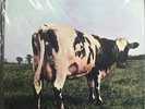 PINK FLOYD Atom Heart Mother MOBILE FIDELITY MFSL 1-202 Ltd Edition #0961 SEALED