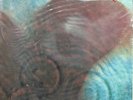 PINK FLOYD Meddle MOBILE FIDELITY MFSL 1-190 JVC Japan Ltd. Edition #3796 SEALED