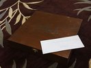 Agalloch The Wooden Box Mint Red Ulver Opeth Anathema