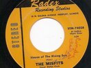 The Misfits - House Of The Rising Sun - Radex - Rare Unknown 60s garage 45 VG