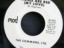 Garage 45 THE COMMONS, LTD on MOD Roses Are Red/Going To Change rare HEAR
