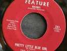 Garage Pop 45 THE ESQUIRES on FEATURE Am I To Blame/Pretty Little obscure HEAR