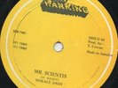 Horace Andy - Mr. Scientist - Original Press Near Mint  Roots 12 Inch