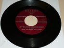 BLUES 45RPM RECORD - HOUND DOG TAYLOR - BEA & BABY 112