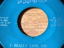 THE MYSTICS I Really Love You TEAKO NORTHERN SOUL FUNK 45