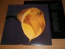 SWANS the Burning World LP vinyl