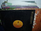 MALETON VINILOS HOUSE ELECTRONIC DEEP DJ technics strictly rythm afro medusa 12