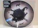 KATE BUSH LIMITED EDITION 10
