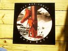 KATE BUSH - The Red Shoes LP